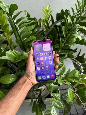 Apple iPhone 12 Pro Max (Used)