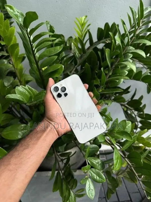 Apple iPhone 12 Pro Max (Used)