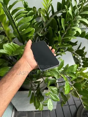 Apple iPhone 12 Pro Max (Used)