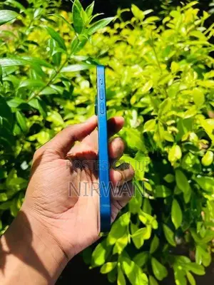 Apple iPhone 12 (Used)