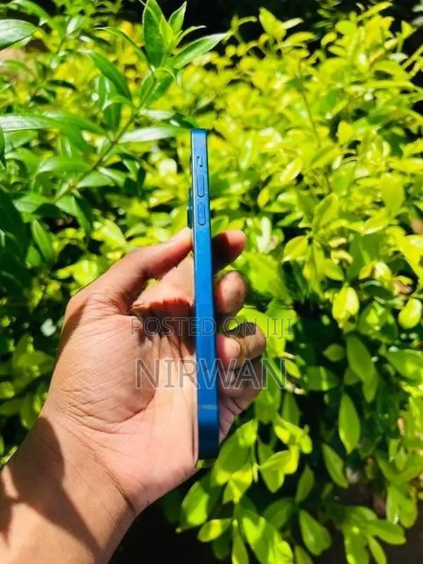 Apple iPhone 12 (Used)