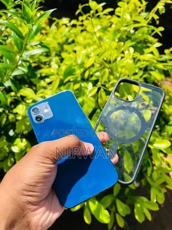 Apple iPhone 12 (Used)