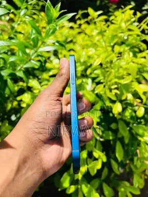 Apple iPhone 12 (Used)