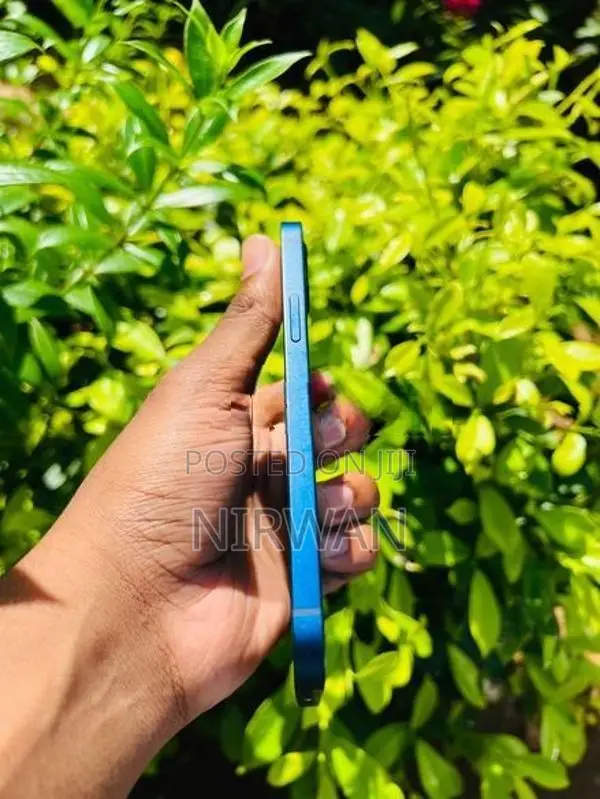Apple iPhone 12 (Used)