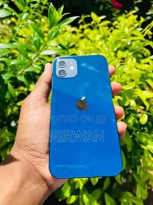 Apple iPhone 12 (Used)