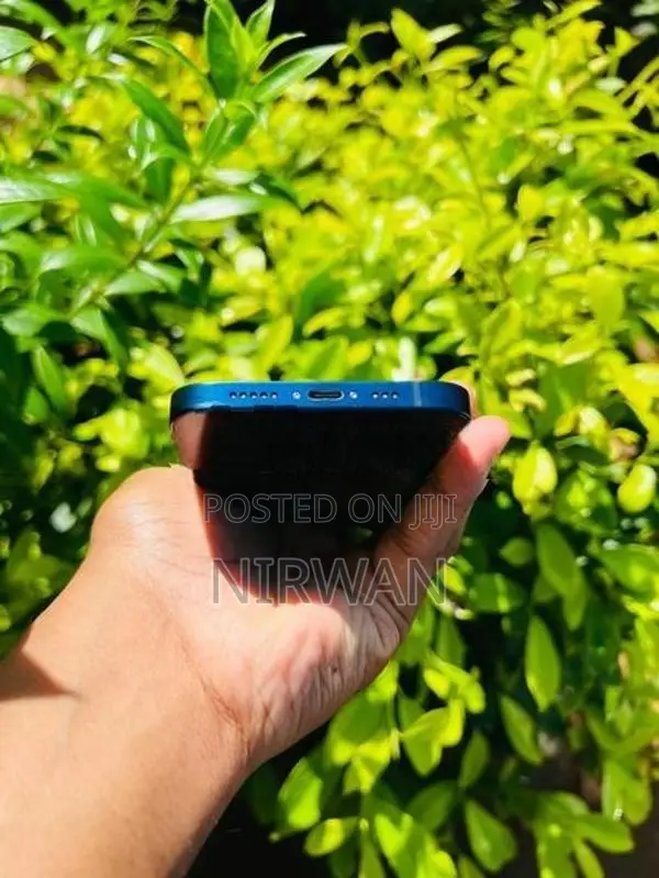 Apple iPhone 12 (Used)