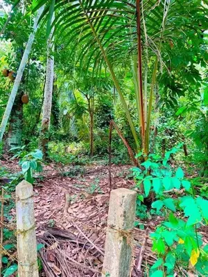 Land for Sale in Meerigama