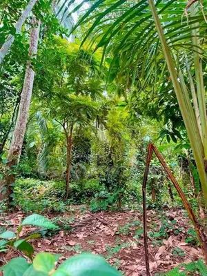Land for Sale in Meerigama