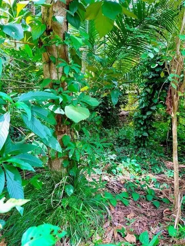 Land for Sale in Meerigama