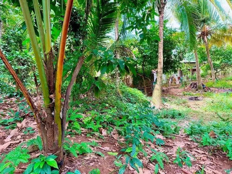 Land for Sale in Meerigama
