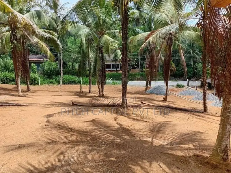වේවැල්පනාව හන්වැල්ල බස් පාරට මුහුනලා විකිණීමට අගනා බිම් කොටස්