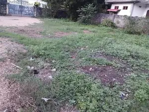 Land For Sale In Jaffna