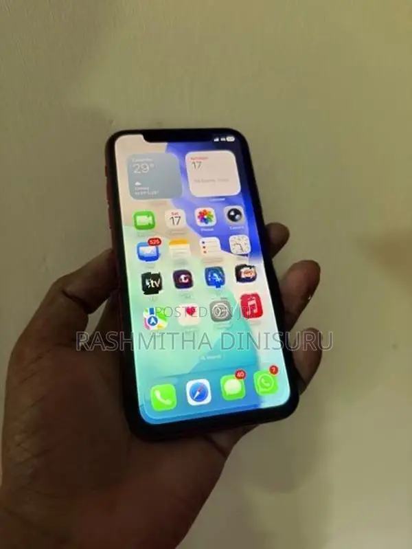 Apple iPhone 11 (Used)