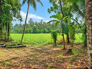 120-Perch Land With A House For Sale In Dunagaha (Sspl-548)