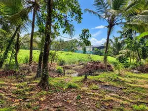 120-Perch Land With A House For Sale In Dunagaha (Sspl-548)