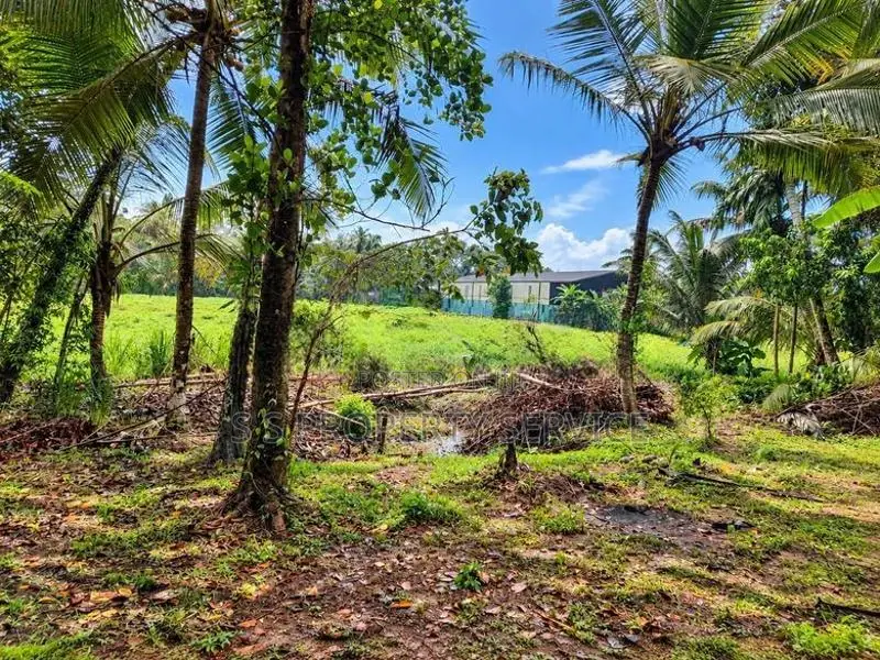 120-Perch Land With A House For Sale In Dunagaha (Sspl-548)
