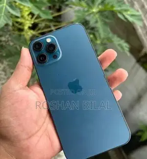 Apple iPhone 12 Pro Max (Used)