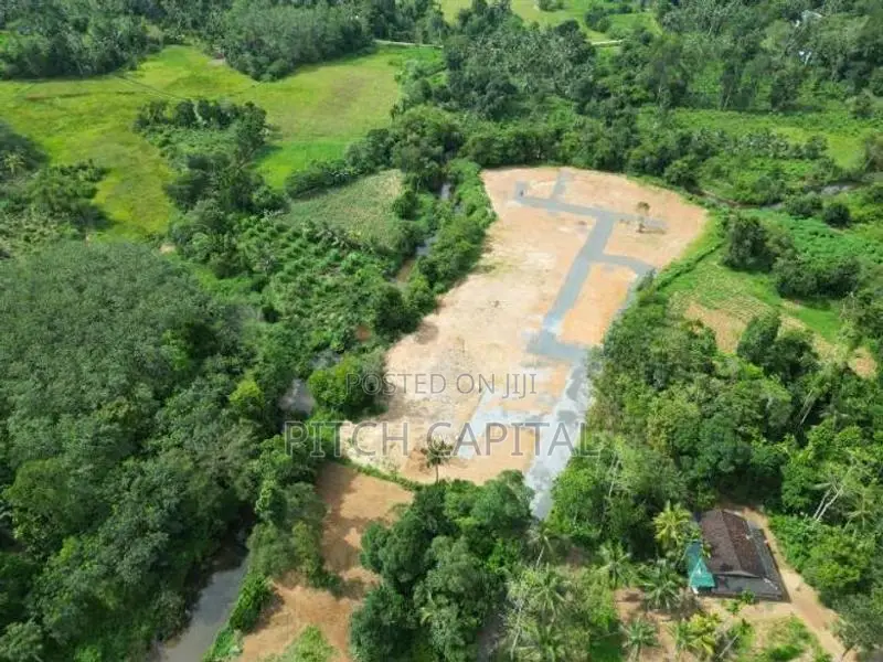 A Peaceful Place in Hadapangoda