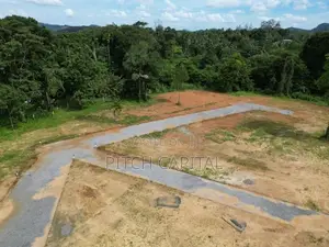 A Peaceful Place in Hadapangoda