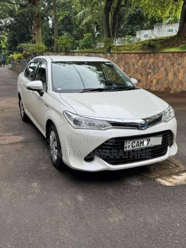 Toyota Axio 2015 Car (Used)