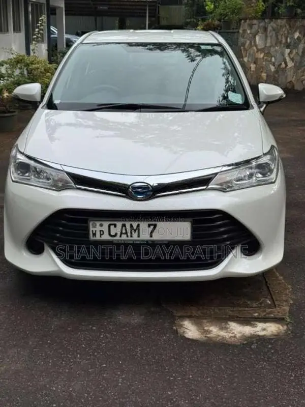 Toyota Axio 2015 Car (Used)