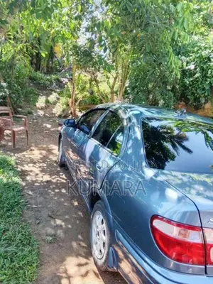 Nissan Sunny 2001 Car (Used)