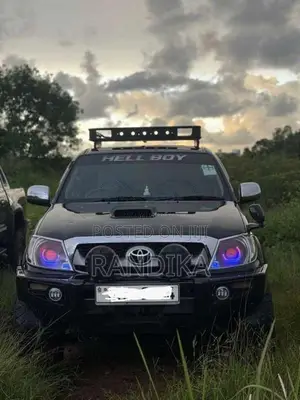 Toyota Hilux Vigo 2012 Pickup (Used)