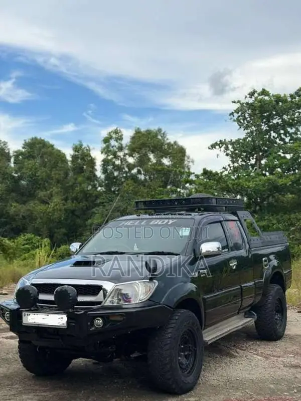 Toyota Hilux Vigo 2012 Pickup (Used)