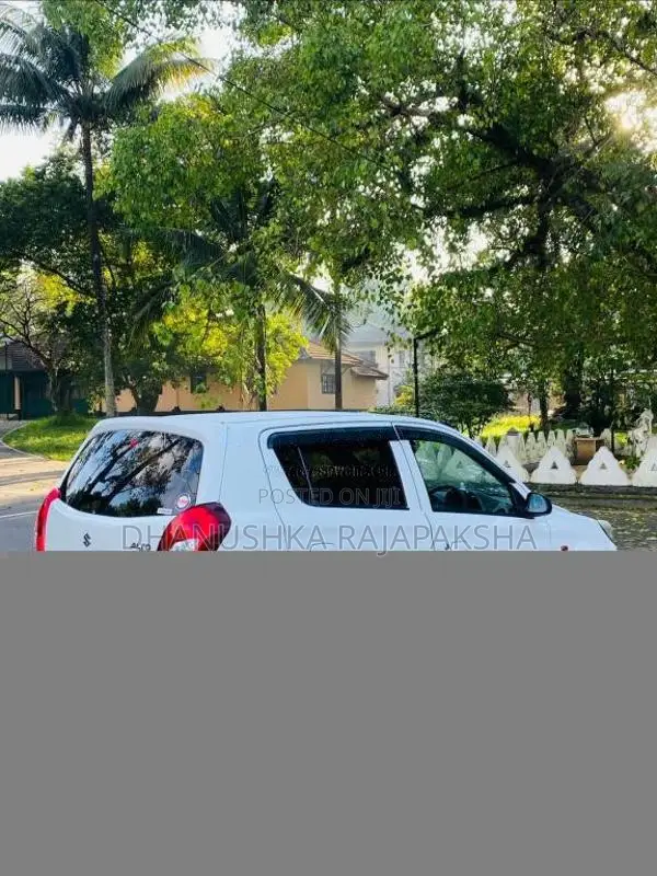 Suzuki Alto 2015 Car (Used)