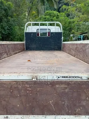 Isuzu Elf 250 2026 Lorry (Used)