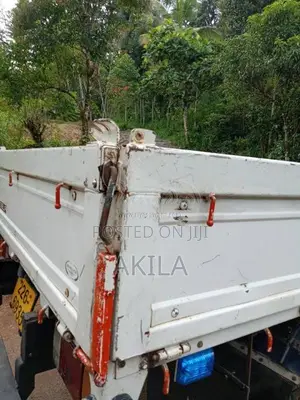 Isuzu Elf 250 2026 Lorry (Used)
