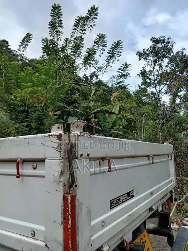 Isuzu Elf 250 2026 Lorry (Used)