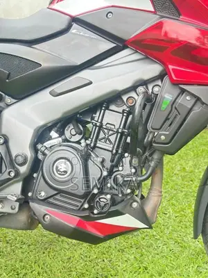 Bajaj NS200 Bs7 2026 Motorbike (Used)