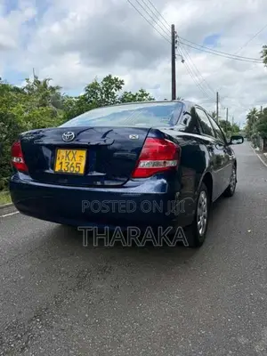 Toyota Axio 2011 Car (Used)