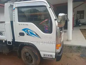Isuzu Tipper 1993 Lorry (Used)