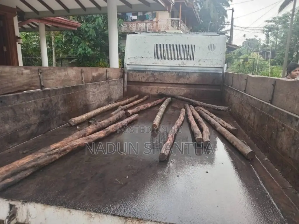 Isuzu Tipper 1993 Lorry (Used)