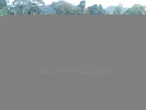 Bajaj RE 4 Stroke 2008 Three Wheel (Used)