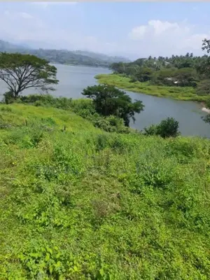 Kandy Digana Beautiful Land for Sale ( RLS - 828 )