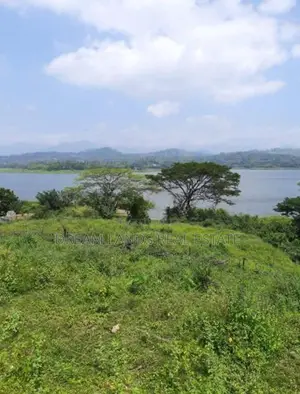 Kandy Digana Beautiful Land for Sale ( RLS - 828 )