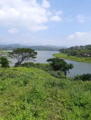 Kandy Digana Beautiful Land for Sale ( RLS - 828 )