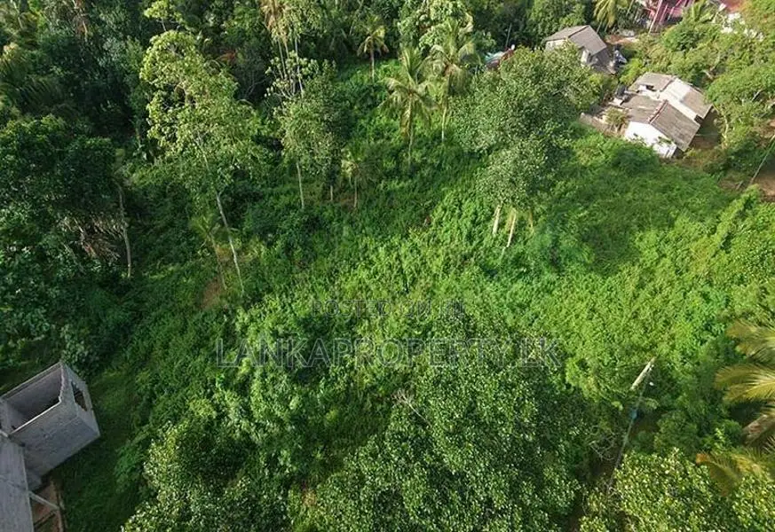 164 Perches of Valuable Land for Sale in Pannala.