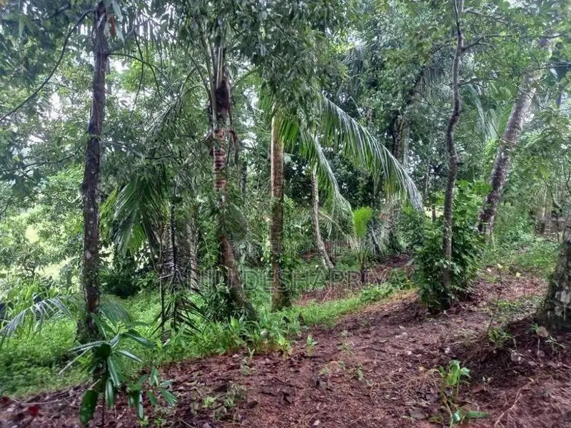 Land for Sale Gurugama Kirindiwela