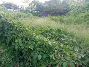 Land for sale in Tempelers road kawdana