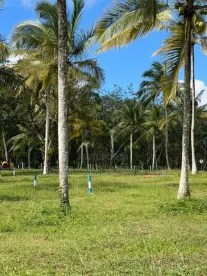 Land for Sale Kalutara