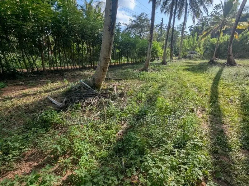 232P Land with Coconut Trees - Wariyapola, Keenagaspitiya