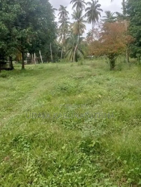 LAND FOR SALE ගල්වාන