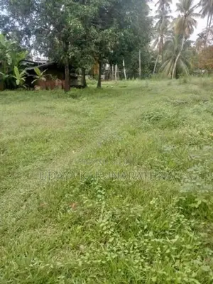 LAND FOR SALE ගල්වාන