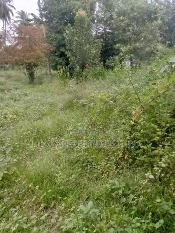 LAND FOR SALE ගල්වාන