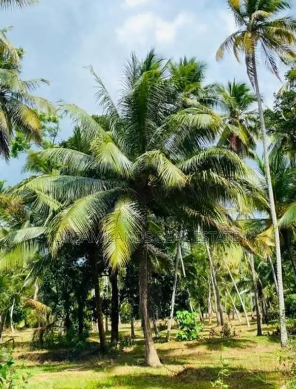 Anuradapura Tabuttegama Elhawala ( RLS - 841 )