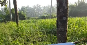 Kahatuduwa Land for Sale (RLS - 847 )